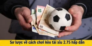 Kèo 2.75 Trong Bóng Đá Cách Tính Toán Chỉ Số Ba Bàn Thắng Thua Chuẩn