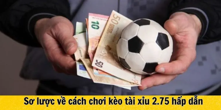 Kèo 2.75 Trong Bóng Đá Cách Tính Toán Chỉ Số Ba Bàn Thắng Thua Chuẩn