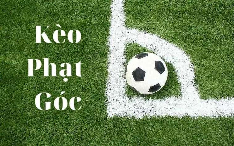 Hướng Dẫn Phân Tích Kèo Phạt Góc Bóng Đá Chi Tiết Nhất