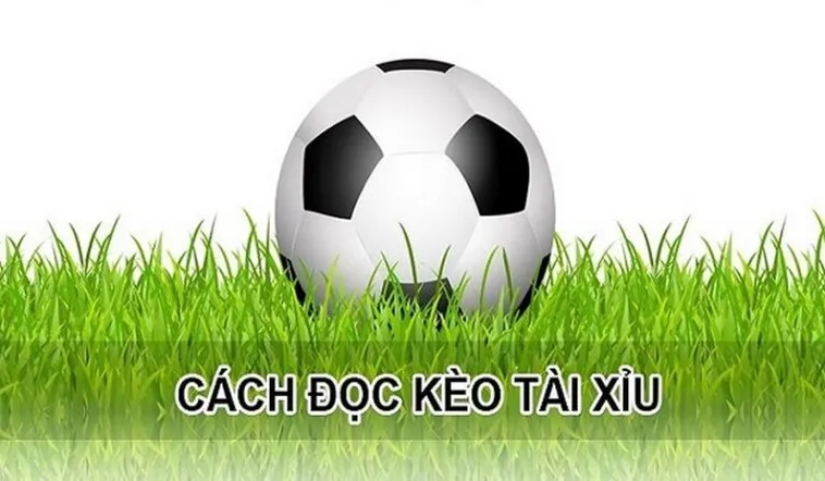 Phân Tích Kèo Tài Xỉu Hiệp 1 Tại Các Giải Vô Địch