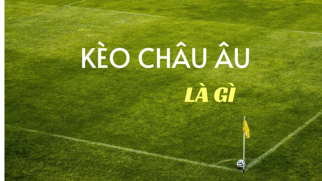 Bí Quyết Phân Tích Kèo Châu Âu Để Đạt Tỷ Lệ Thắng Cao