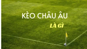 Bí Quyết Phân Tích Kèo Châu Âu Để Đạt Tỷ Lệ Thắng Cao