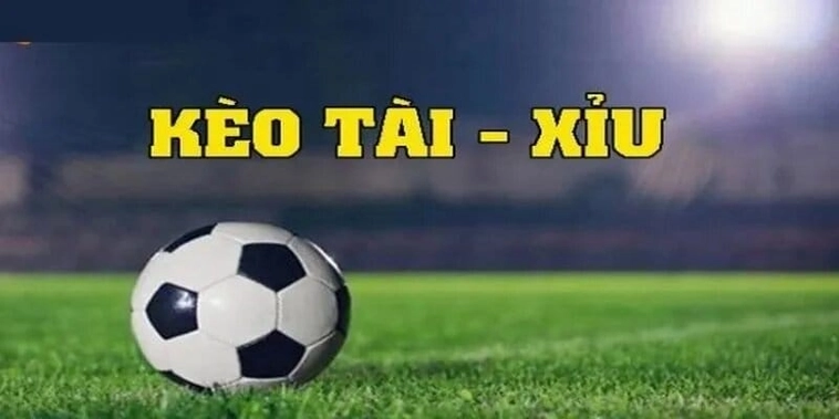 Phân Tích Kèo Tài Xỉu Tổng Số Bàn Thắng Tại Các Giải Vô Địch