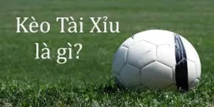 Phân Tích Kèo Tài Xỉu Tổng Số Bàn Thắng Tại Các Giải Vô Địch