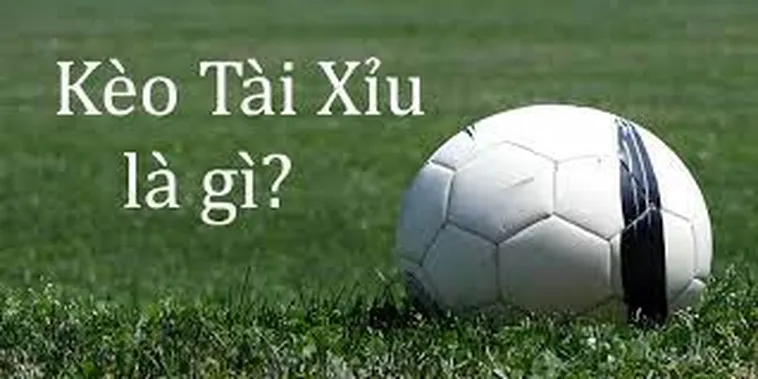 Phân Tích Kèo Tài Xỉu Tổng Số Bàn Thắng Tại Các Giải Vô Địch