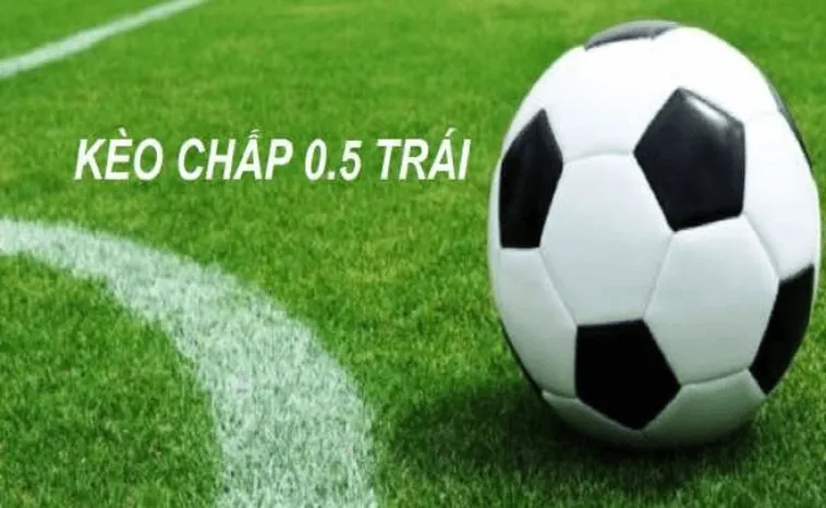 Kèo Chấp 0.5 Trong Bóng Đá Phân Tích Chiến Thuật Chấp Nửa Trái Hiệu Quả