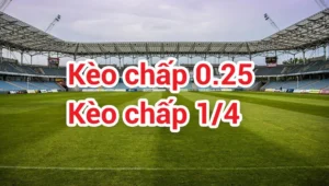 Kèo Chấp 0.25 Trong Bóng Đá Cách Đọc Và Phân Tích Chỉ Số Đồng Banh Nửa Trái