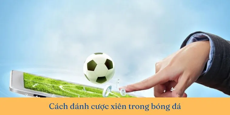 Kèo Xiên Trong Bóng Đá Nghệ Thuật Kết Hợp Và Tính Toán Tỷ Lệ Thắng